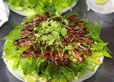 Top 6 món ăn từ côn trùng độc lạ nhất Việt Nam