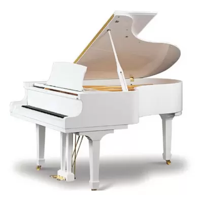 Top 5 mẫu Piano Grand Ritmuller nổi bật , tốt nhất hiện nay