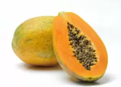 Top 5 tác dụng kỳ diệu đến từ quả đu đủ