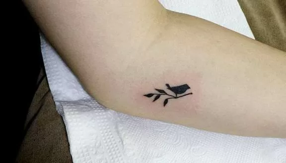 Top 5 Shop Tattoo  đẹp và tốt nhất ở Đà Nẵng