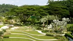 Top 5 nơi "sống ảo" đẹp nhất ở Singapore