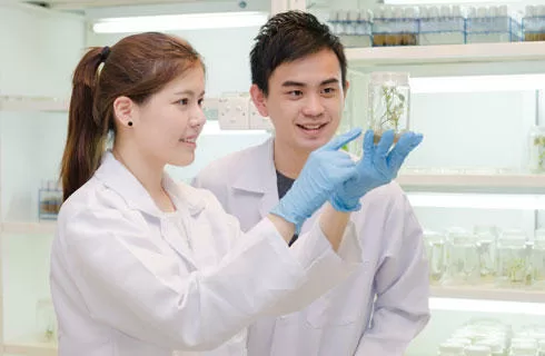 Top 10 trường đại học nổi tiếng tại Malaysia cho các du học sinh