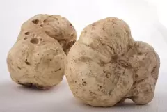 Top 10 món ăn đặc biệt nhất hành tinh, có tới 2 món của người Việt