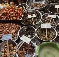 Top 6 quán ăn ngon nhất nên ghé qua ở Hải Phòng