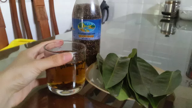 Top 5 công dụng tuyệt vời từ cây lá vối
