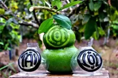 TOP 8 loại trái cây độc lạ chưng ngày Tết đẹp mắt