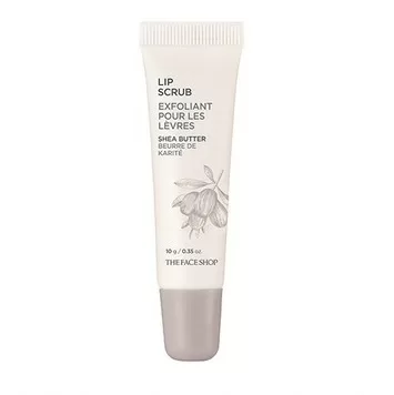 Top 5 son dưỡng môi tốt nhất từ thương hiệu The Face Shop – Hàn Quốc