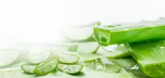 Top 5 cách làm sữa chua nha đam cực ngon