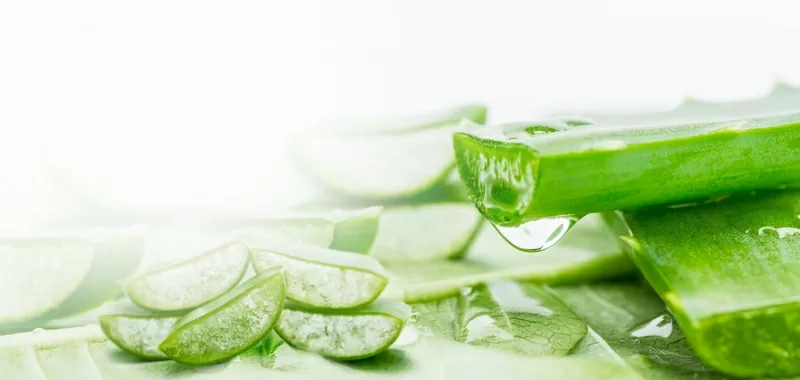 Top 5 cách làm sữa chua nha đam cực ngon