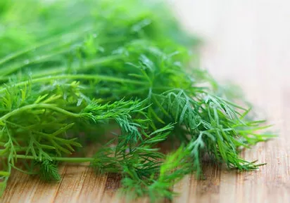 Top 5 tác dụng đặc biệt từ rau thì là