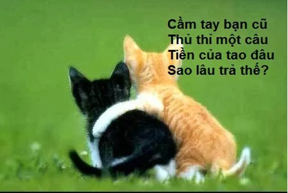 Top 10 bài thơ cực vui nhộn khiến bao người phải phì cười