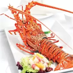 Top 7 món ăn giá cực đắt dành cho giới nhà giàu Việt Nam