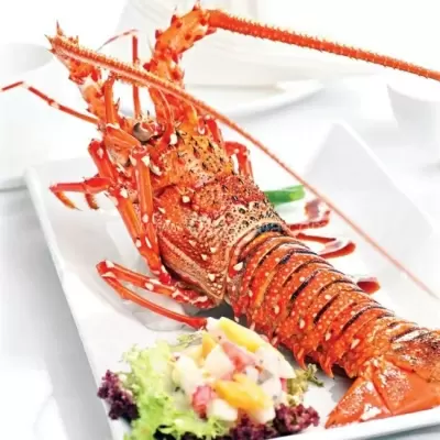 Top 7 món ăn giá cực đắt dành cho giới nhà giàu Việt Nam