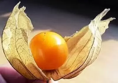 TOP 8 loại trái cây ngon nhất được thế giới bình chọn