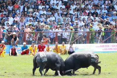 Top 7 lễ hội truyền thống lớn và nổi tiếng nhất ở Hải Phòng