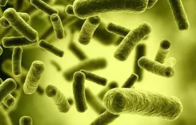 TOP 8 sự thật thú vị về khoa học có thể bạn chưa biết