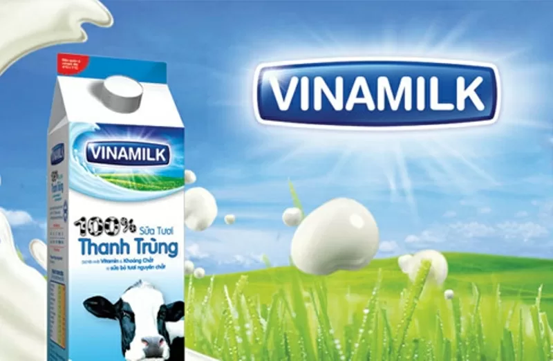 Top 7 công ty có môi trường làm việc tuyệt nhất Việt Nam