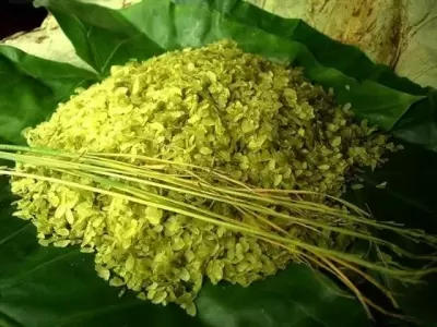 Top 8 làng nghề truyền thống nổi tiếng ở thủ đô Hà Nội