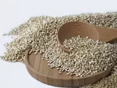 TOP 8 thực phẩm giàu chất protein cho người ăn chay