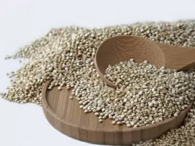 TOP 8 thực phẩm giàu chất protein cho người ăn chay