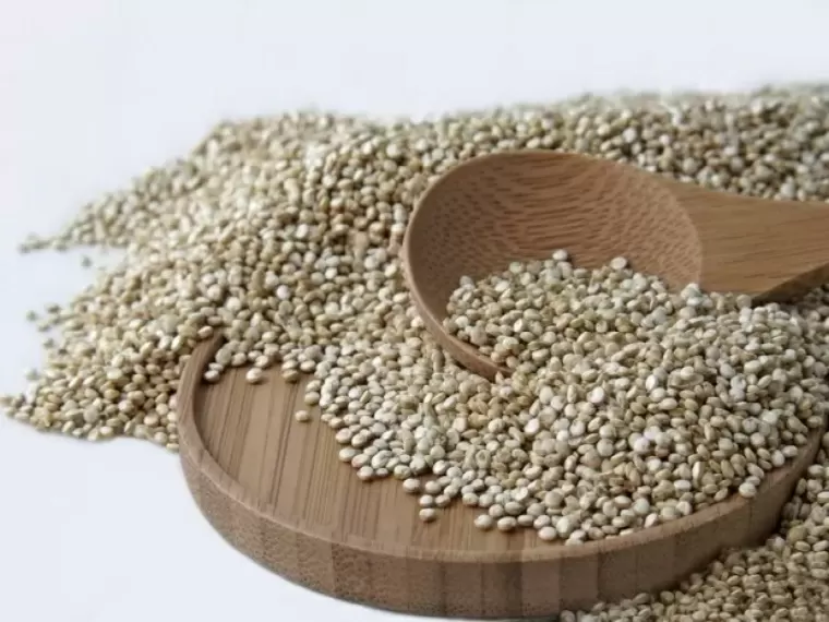TOP 8 thực phẩm giàu chất protein cho người ăn chay