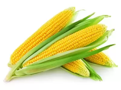 TOP 7 loại củ quả có tác dụng tốt với người sử dụng máy tính nhiều