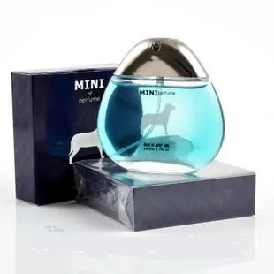 Top 5 nước hoa tốt nhất cho mèo đang được dùng nhiều nhất hiện nay