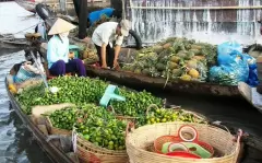 Top 4 điểm du lịch ở Tiền Giang nên đến một lần trong đời