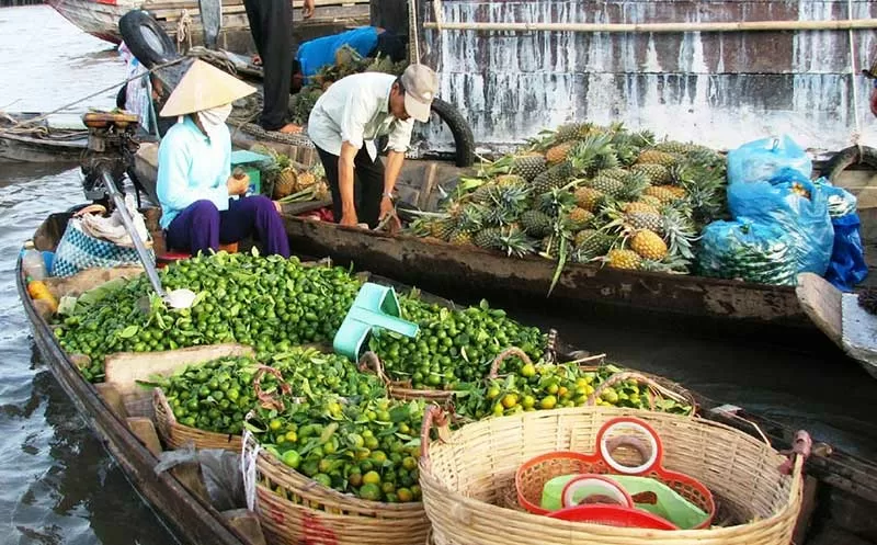 Top 4 điểm du lịch ở Tiền Giang nên đến một lần trong đời