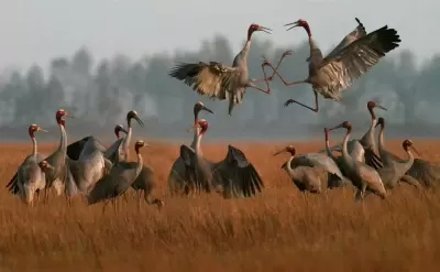 Top 4 điểm du lịch ở Đồng Tháp nên đến một lần trong đời