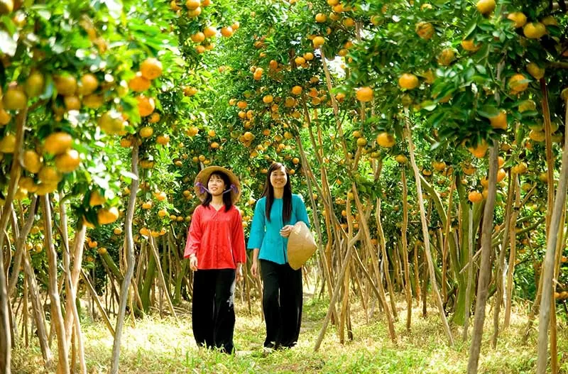 Top 4 điểm du lịch ở Bến Tre nên đến một lần trong đời