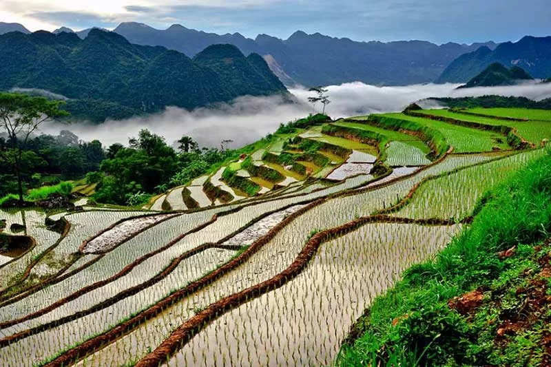 Top 6 điểm du lịch ở Thanh Hóa nên đến một lần trong đời