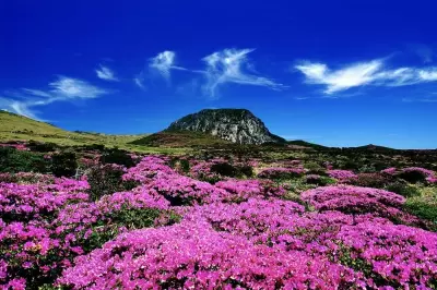 Top 8 điểm du lịch nổi tiếng ở Jeju Hàn Quốc nên đến một lần trong đời