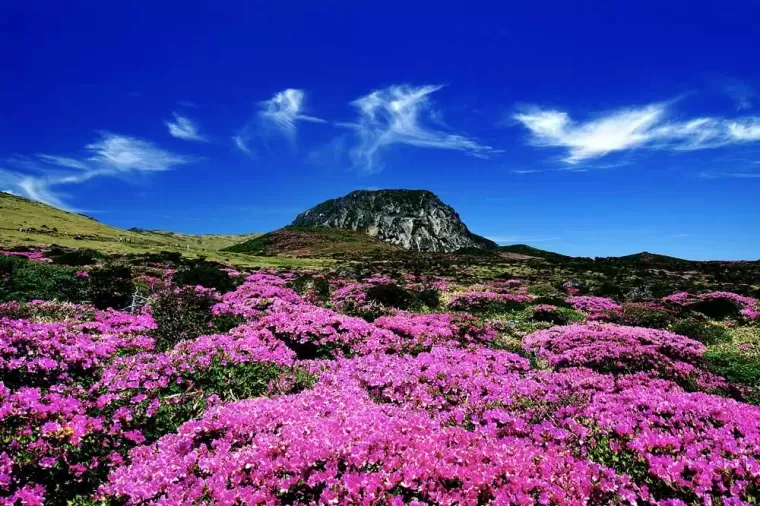 Top 8 điểm du lịch nổi tiếng ở Jeju Hàn Quốc nên đến một lần trong đời