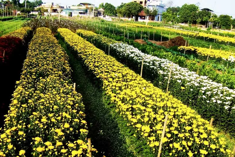 Top 4 điểm du lịch ở Hà Nam nên đến một lần trong đời