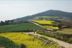 Top 4 điểm du lịch nổi tiếng ở Jeollanam Hàn Quốc nên đến một lần trong đời