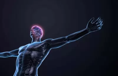 TOP 8 điều thú vị về cơ thể con người có thể bạn chưa biết