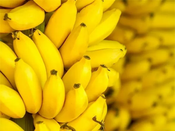 TOP 8 loại trái cây rất tốt cho tim mạch