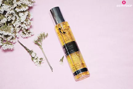 Top 5 nước hoa cho chó đang được dùng nhiều nhất hiện nay