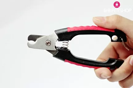 Top 5 kềm cắt móng cho chó đang được dùng nhiều nhất hiện nay