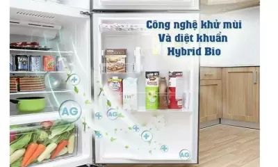 Top 5 tủ lạnh Toshiba Inverter dưới 10 triệu tốt nhất