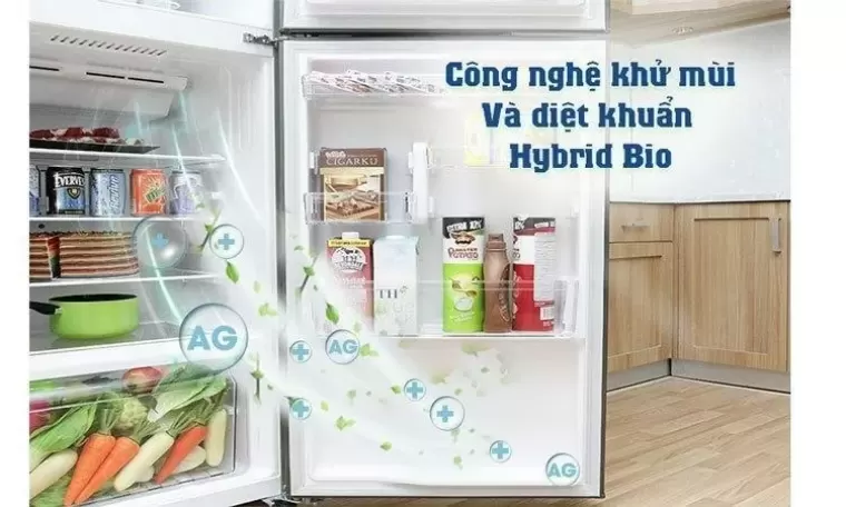 Top 5 tủ lạnh Toshiba Inverter dưới 10 triệu tốt nhất