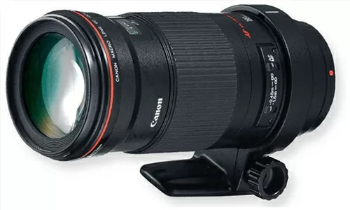 Top 4 ống kinh canon macro được các chuyên gia nhiếp ảnh nổi tiếng đánh giá tốt nhất