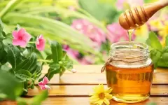 TOP 8 lợi ích tuyệt vời của mật ong đối với sức khỏe