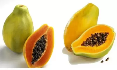 TOP 7 bí quyết giúp người bị táo bón nhanh chóng khỏi bệnh