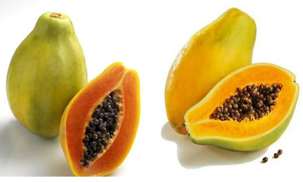 TOP 7 bí quyết giúp người bị táo bón nhanh chóng khỏi bệnh