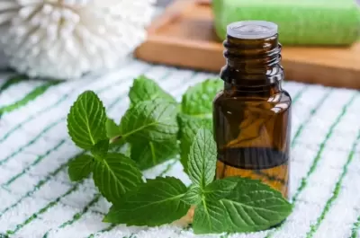 TOP 6 tinh dầu giúp chữa dị ứng hiệu quả nhất