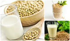 TOP 8 thực phẩm giảm cholesterol trong máu hiệu quả nhất