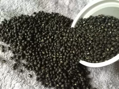 TOP 7 lơi ích tuyệt vời của đậu đen với sức khỏe