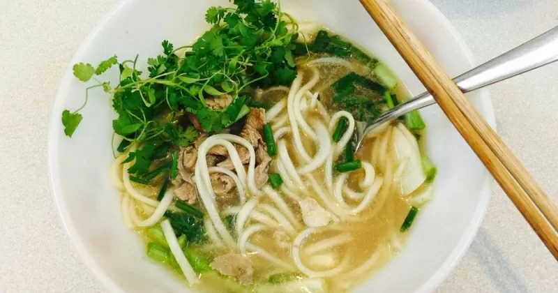TOP 6 lợi ích của mì Udon đối với sức khỏe con người